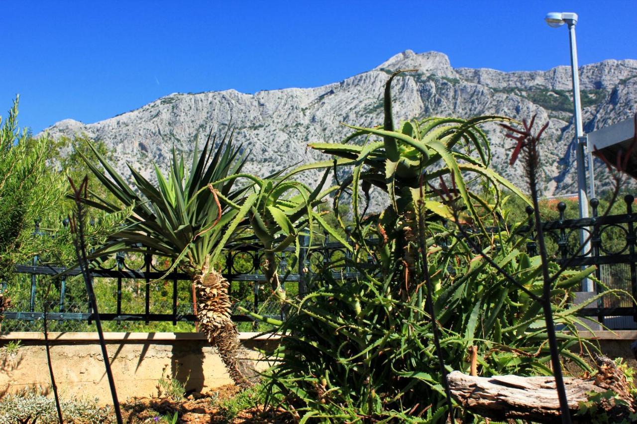 Apartments With A Parking Space Orebic, Peljesac - 10157 外观 照片